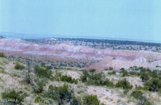 000 N6315 -- 115, St Johns, AZ 85936