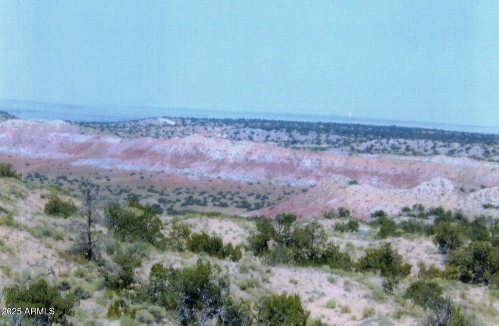 000 N6315 -- 115, St Johns, AZ 85936