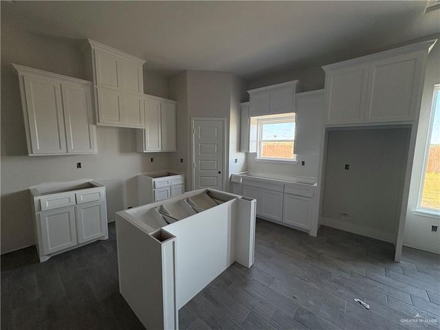 1113 Altuve Drive, Edinburg, TX 78570