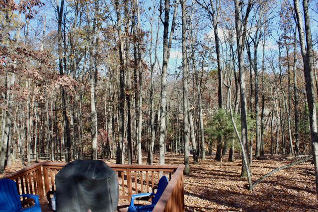206 PLEASANT LN, Mcgaheysville, VA 22840