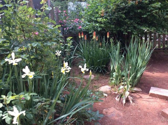 17193 Manzanita Street, Stirling City, CA 95978