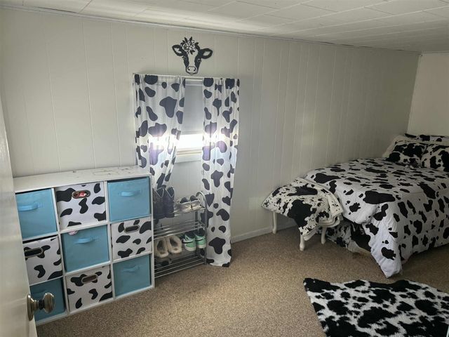 515 W Bridge Street, Big Rapids, MI 49307