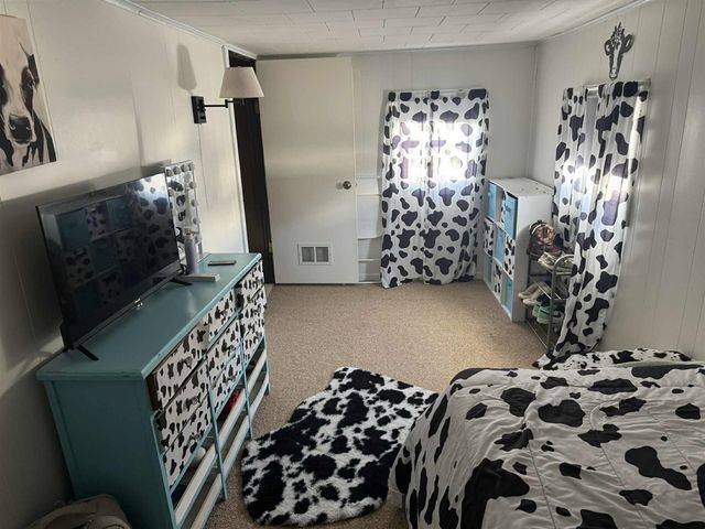 515 W Bridge Street, Big Rapids, MI 49307