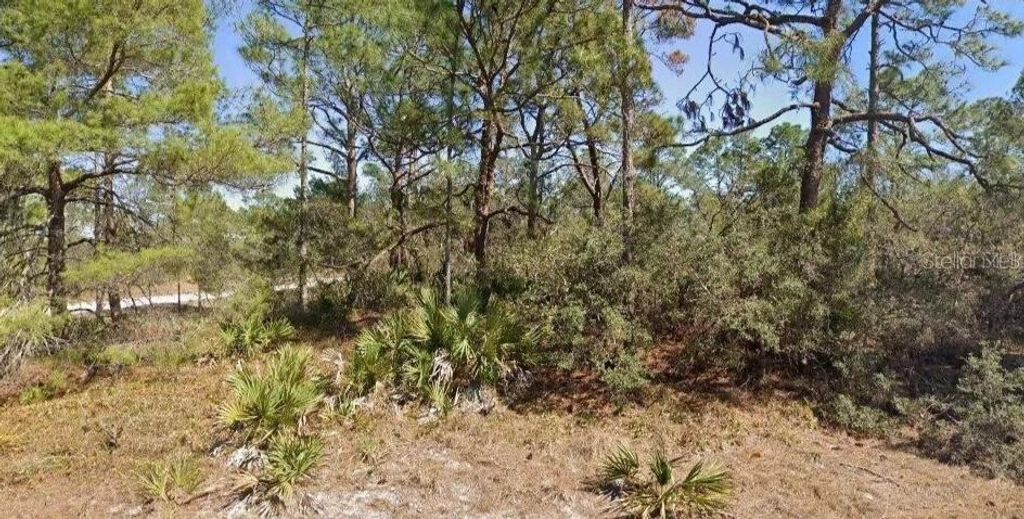 651 JONATHAN STREET, Lake Placid, FL 33852