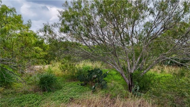 1297 County Road 336, Alice, TX 78332