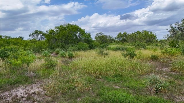 1297 County Road 336, Alice, TX 78332