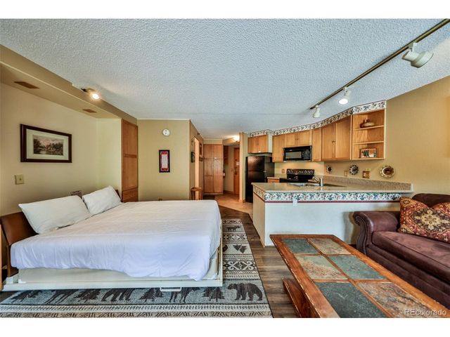 313 Iron Horse Way C3063, Winter Park, CO 80482