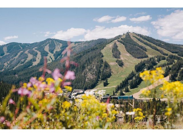 313 Iron Horse Way C3063, Winter Park, CO 80482