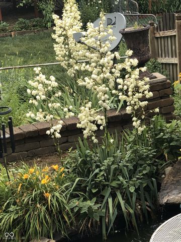 7620 Snowflake Drive, Indianapolis, IN 46227