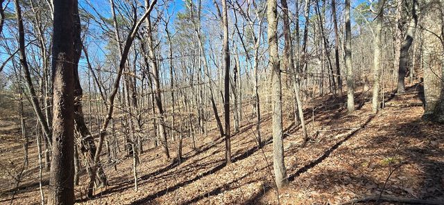 Tract 2 Friendship Trail, Talking Rock, GA 30175