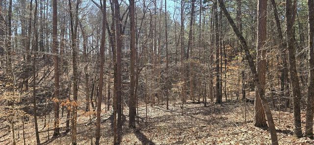 Tract 2 Friendship Trail, Talking Rock, GA 30175