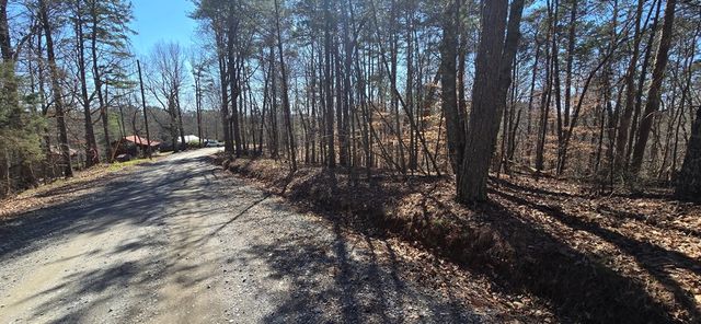 Tract 2 Friendship Trail, Talking Rock, GA 30175