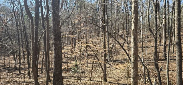 Tract 2 Friendship Trail, Talking Rock, GA 30175