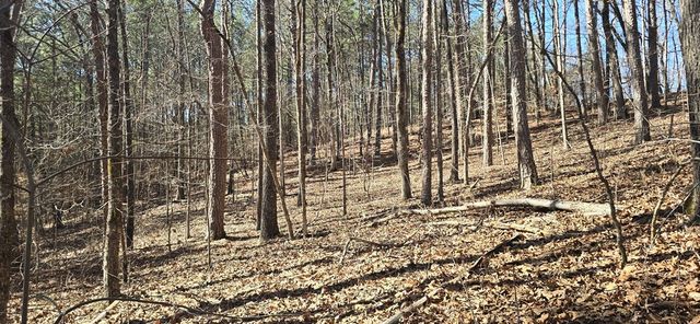 Tract 2 Friendship Trail, Talking Rock, GA 30175