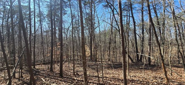 Tract 2 Friendship Trail, Talking Rock, GA 30175