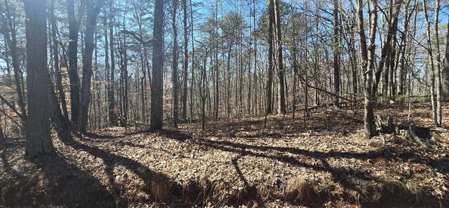 Tract 2 Friendship Trail, Talking Rock, GA 30175