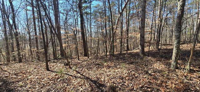 Tract 2 Friendship Trail, Talking Rock, GA 30175