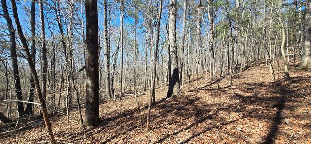 Tract 2 Friendship Trail, Talking Rock, GA 30175