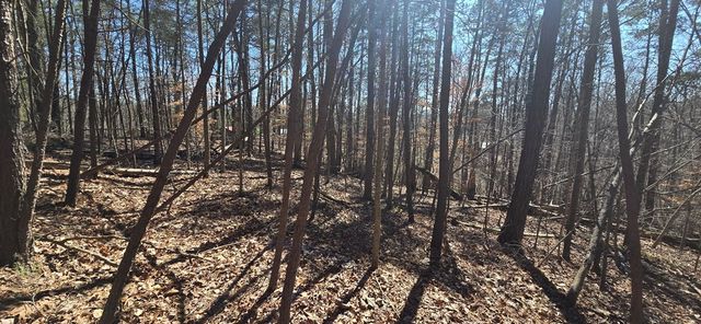 Tract 2 Friendship Trail, Talking Rock, GA 30175