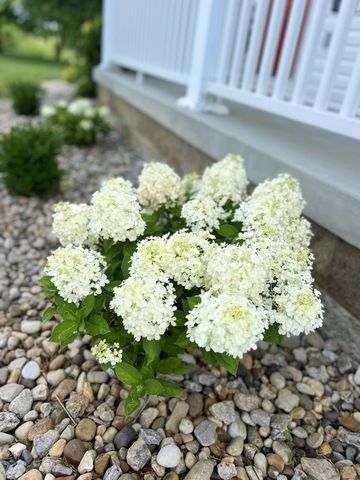 373 Lawless Lane, Jamestown, KY 42629