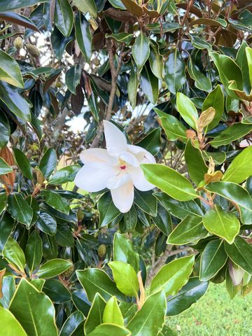 373 Lawless Lane, Jamestown, KY 42629