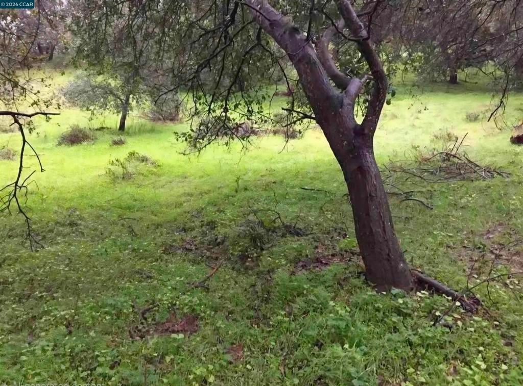 Image 2 of property listing at 16 Brandywine Way, Martinez, CA 94553