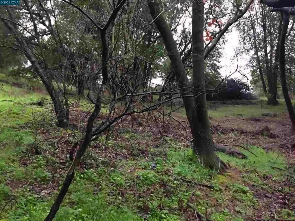 Image 3 of property listing at 16 Brandywine Way, Martinez, CA 94553