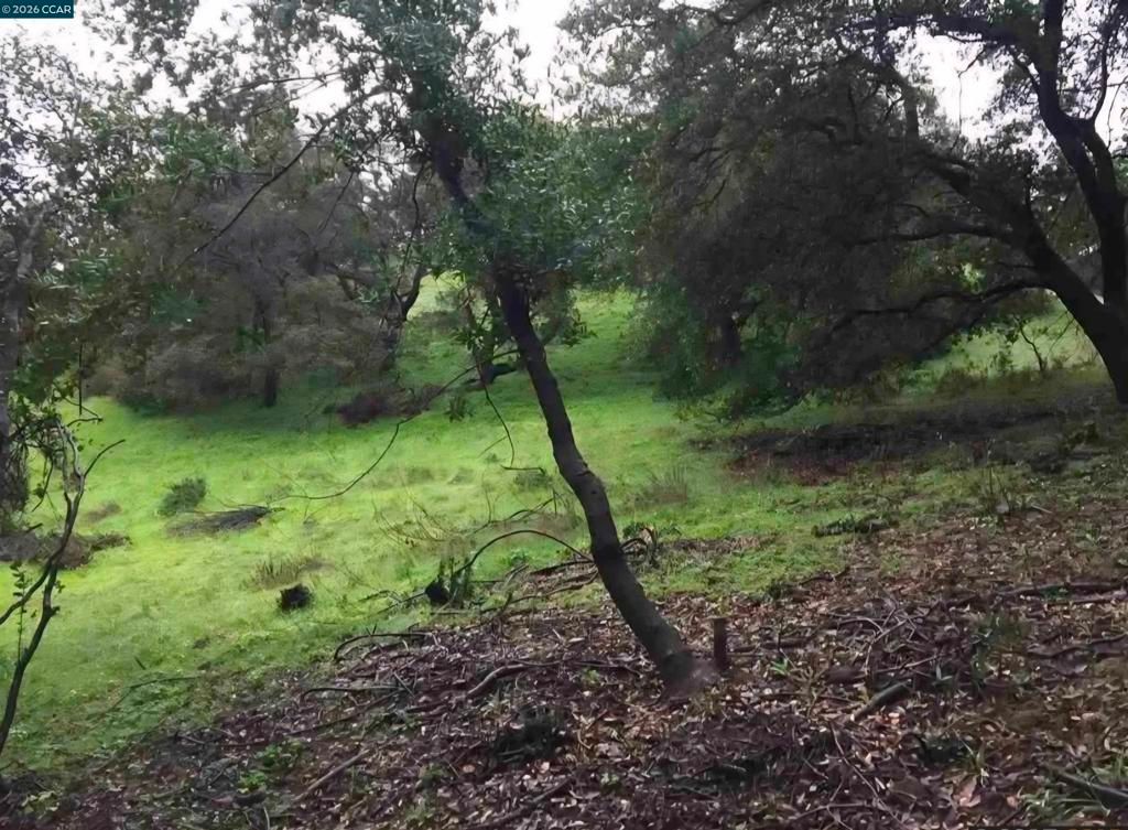 Image 4 of property listing at 16 Brandywine Way, Martinez, CA 94553