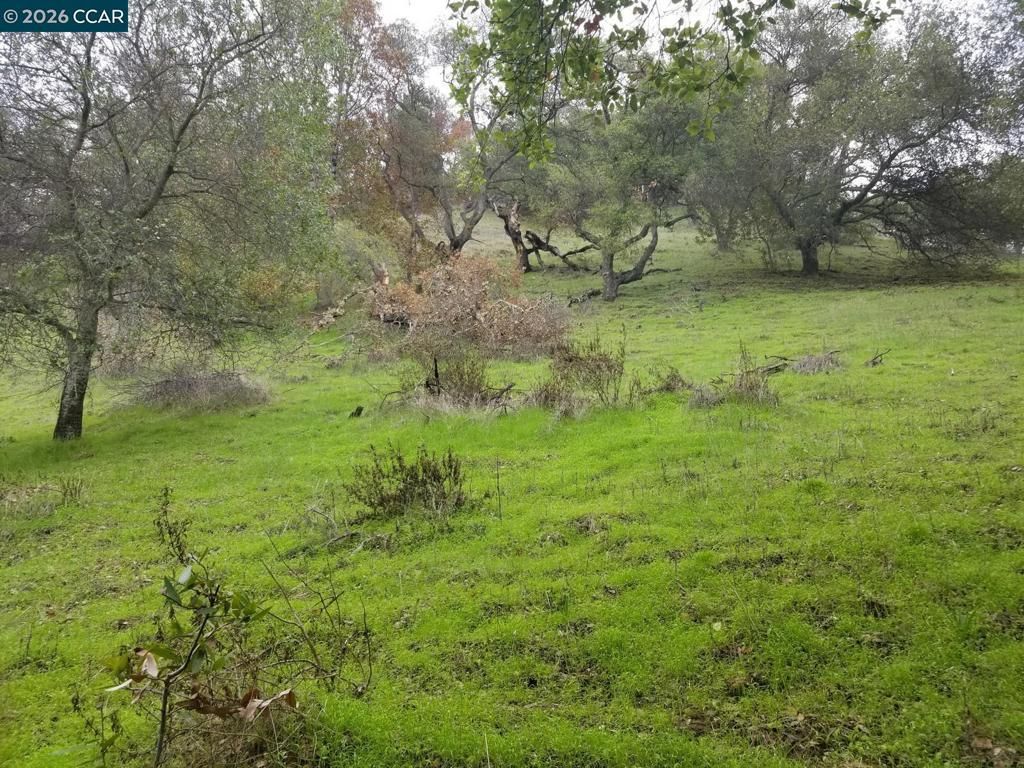 Image 6 of property listing at 16 Brandywine Way, Martinez, CA 94553