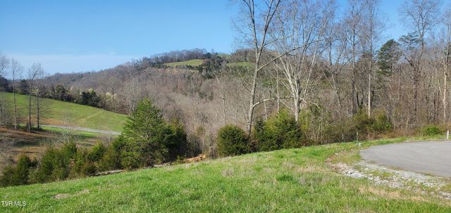 Lot 2 Smokey Quartz Boulevard, New Tazewell, TN 37825