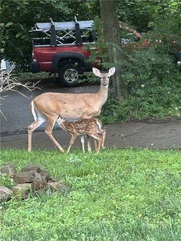 560 N Fallin Avenue, Fayetteville, AR 72701