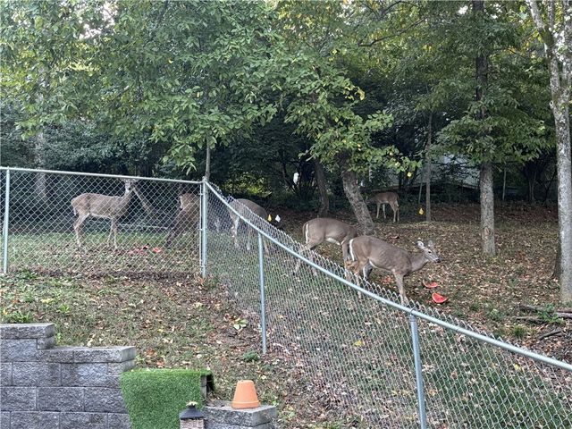 560 N Fallin Avenue, Fayetteville, AR 72701