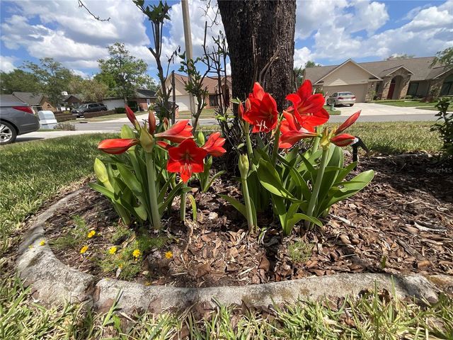 7406 MINT JULEP DRIVE, Riverview, FL 33578