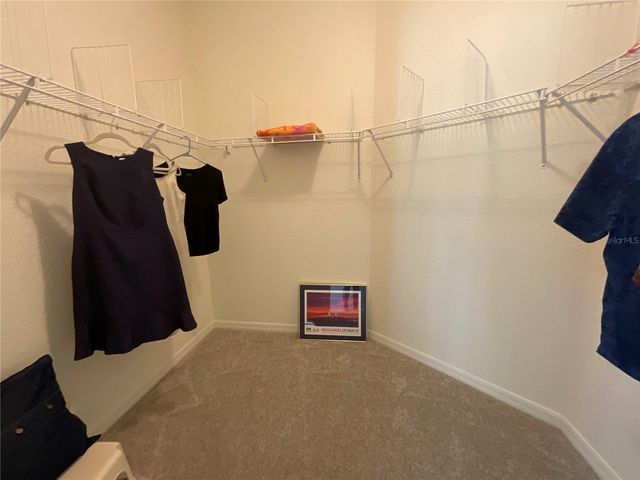 7406 MINT JULEP DRIVE, Riverview, FL 33578