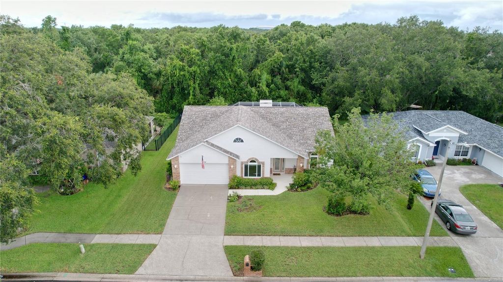 7406 MINT JULEP DRIVE, Riverview, FL 33578