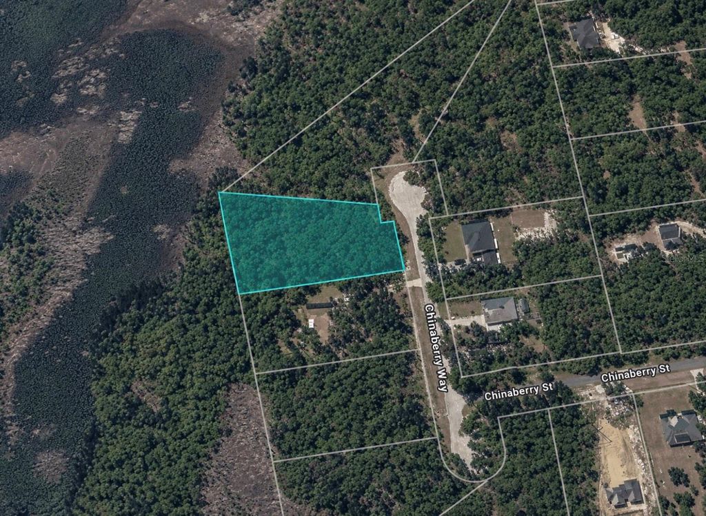 CHINABERRY WAY, Eustis, FL 32736
