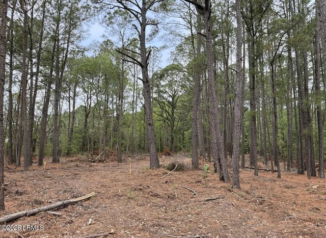 34 Creekmoor Lane, Seabrook, SC 29940