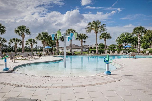 11670 CAMBIUM CROWN DRIVE, Riverview, FL 33569