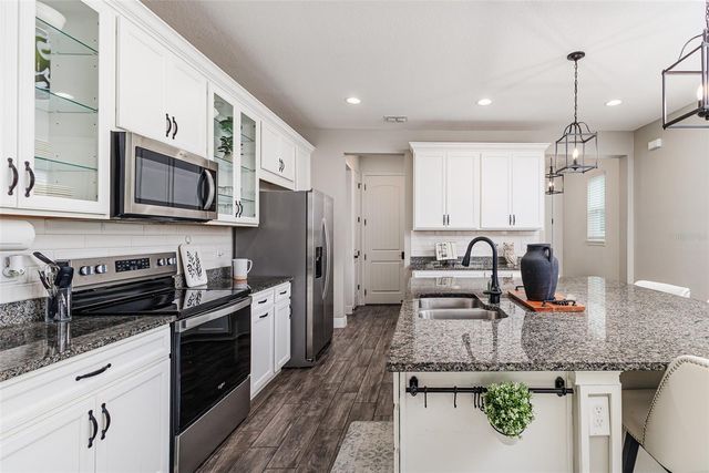 11670 CAMBIUM CROWN DRIVE, Riverview, FL 33569