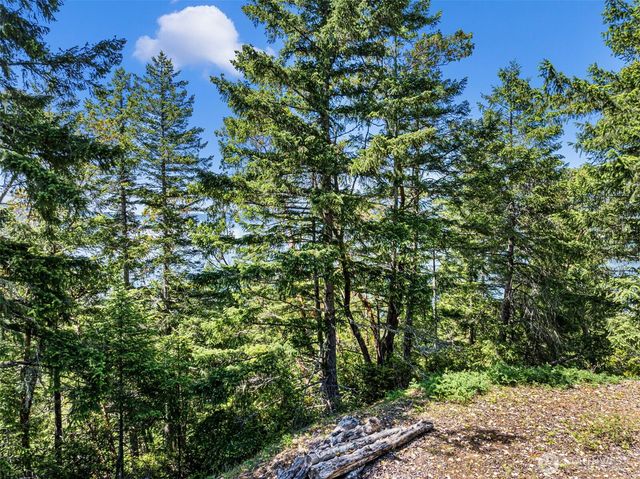 2 Lot 2 Capstan Rock, Tahuya, WA 98588