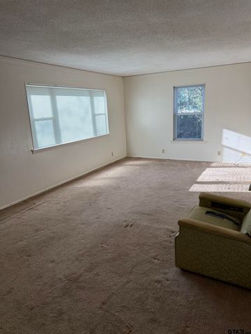 10629 State Hwy 110, Van, TX 75790