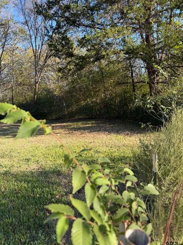 10629 State Hwy 110, Van, TX 75790