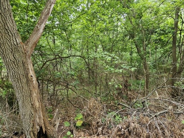 41W329 Prairie View Lane, Campton Hills, IL 60175