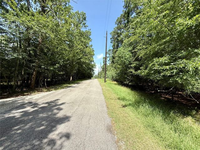 155 W Lake Drive, Houston, TX 77336
