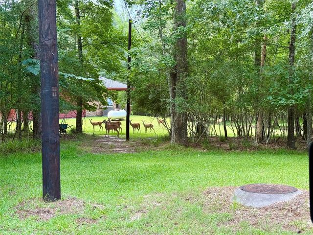 155 W Lake Drive, Houston, TX 77336