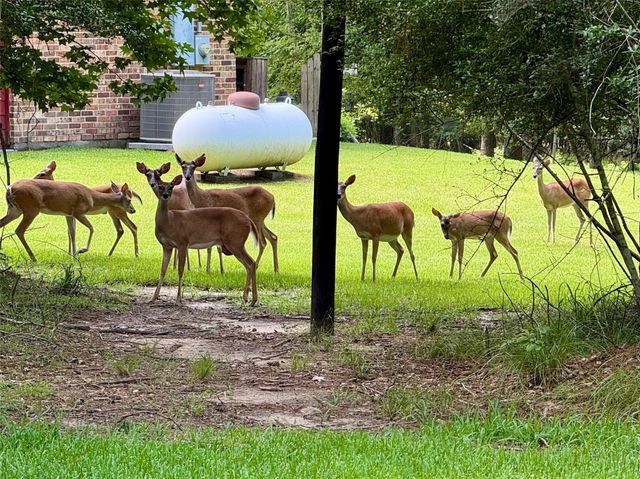 155 W Lake Drive, Houston, TX 77336