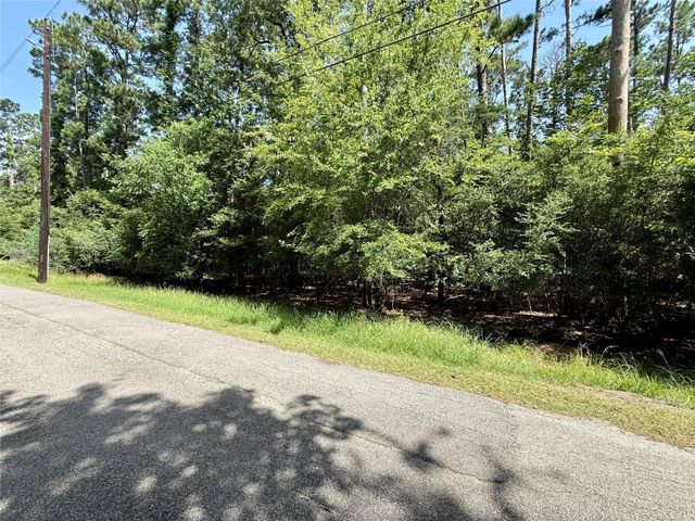 155 W Lake Drive, Houston, TX 77336