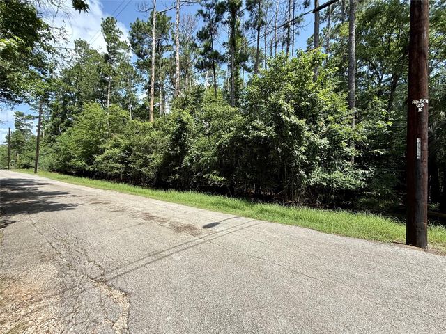 155 W Lake Drive, Houston, TX 77336