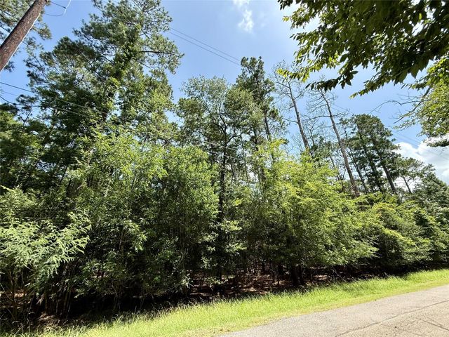 155 W Lake Drive, Houston, TX 77336
