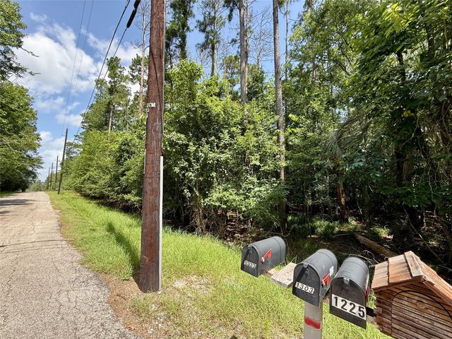155 W Lake Drive, Houston, TX 77336